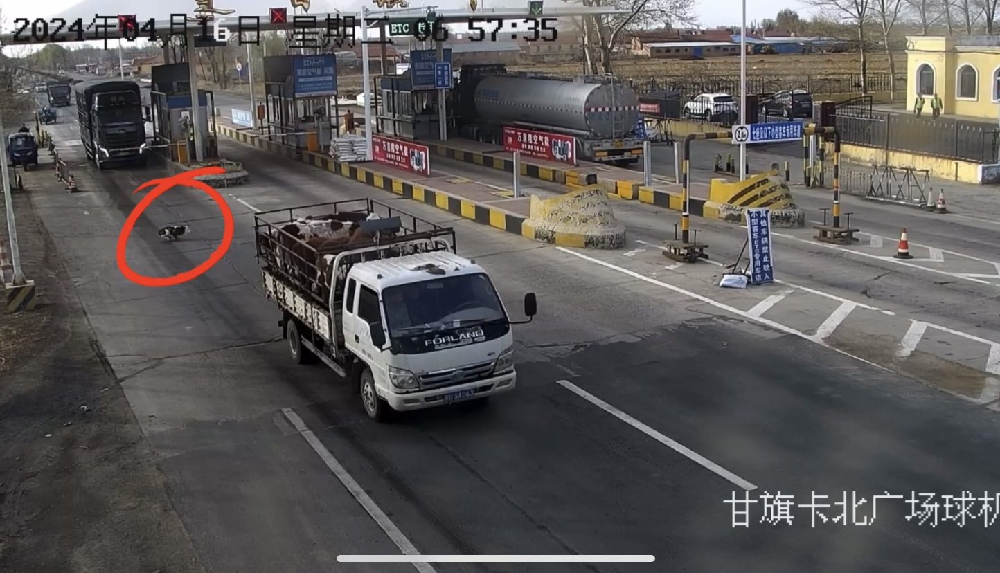 拾金不昧暖人心 好通員工揚(yáng)正氣